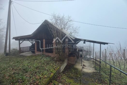 1765876969 photo 2025 12 16 10 05 16