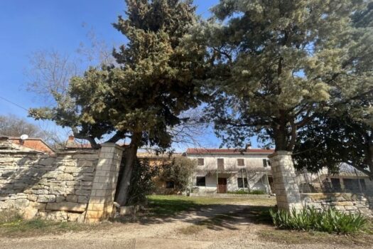 1765907867 6944 3697477 18 b 1