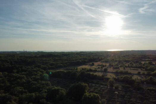 1766063933 thumbnail 32