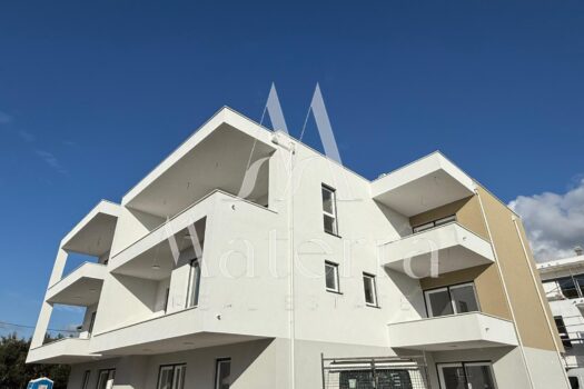 1766170345 whatsapp image 2025 12 19 at 13