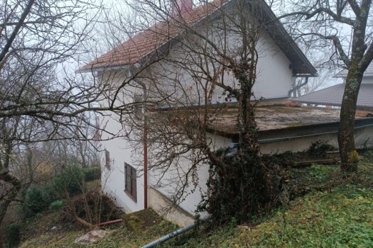 1766411299 img 20251220 113852