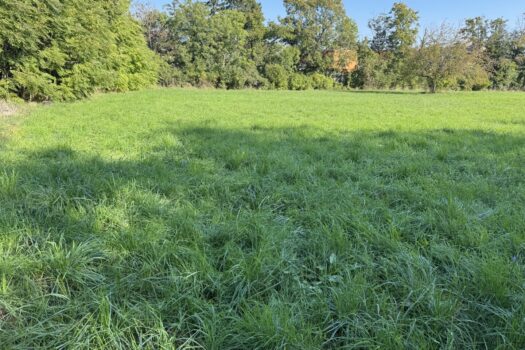 189GhowMXy0hq3WXNNv0jA