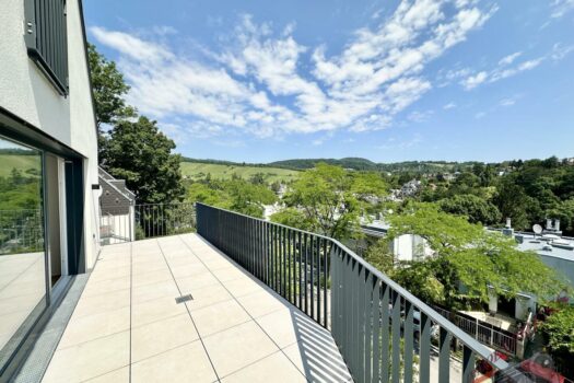 Neuer Preis! Wohntraum (Top 6) 4-Zimmerwohnung + 32,71 m² Balkon, Erstbezug, Erstklassige Ausstattung, Neubau, luxuriös + Garage IMG_2960