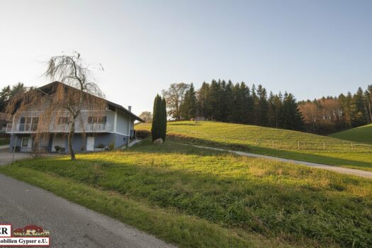 1Cf5BDk6XLT2VAdXyoscJW