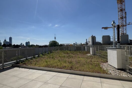 1F60FCQvJUifBEe7mgVNjL