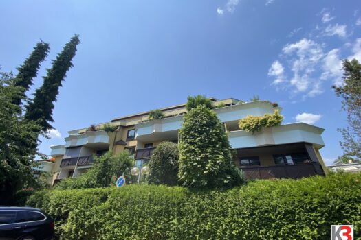 1Ld9GWuOoDh8d56XNtIVil