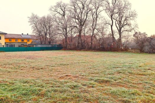 1M22mpPVCj0lDanexS7tLW