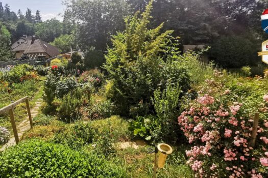 1U94ngEhBqkFC6JaeV5lTY