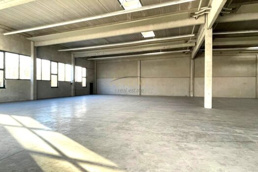 1ZKQQxSmYUqCJE1msoNZtu