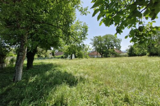 1bhSZG0NHIUBJyzD91cPRD