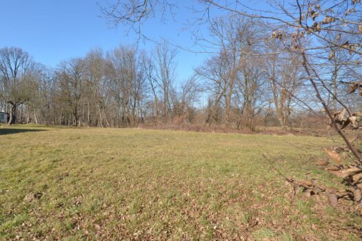 BAUGRUNDSTÜCK(E) am ORTSRAND in Grünruhelage 1fjgKcGOpcyLDwV5FpXNzW 2