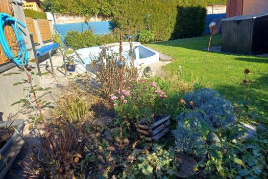 Der nächste Sommer kommt bestimmt! Entzückendes Kleingartenhaus in einer gepflegten Kleingartensiedlung - 25 Minuten vor Wien! Hauptwohnsitz möglich! 1jfkYNZ3SuiLBVuza85HeZ