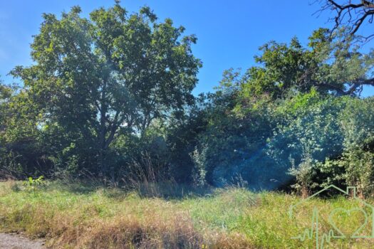 1sdWdxEr3MLTUGPgIy8yWz