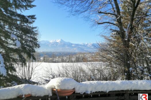 1vURBQ6mgqkU6zBeBpx1BA