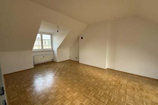 Jakomini/Steyrergasse - Charmante Wohnung mit Blick auf Schlossberg frisch saniert IMG_0335