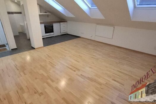 20251128_154941_resized