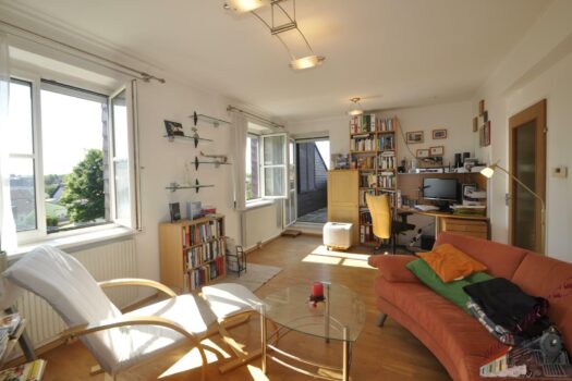 Dachterrassenwohnung in wunderschöner ruhiger Lage nähe EKZ Traisenpark Bild1