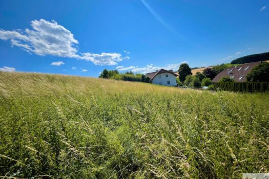 240YWAy1Q61xqfzmpVZLum