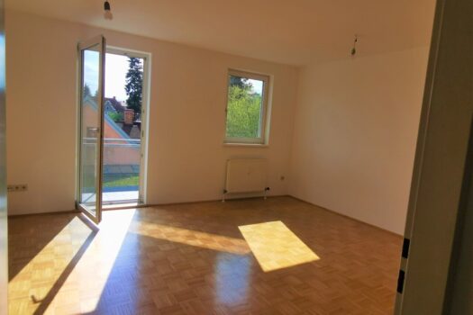 2AeDM56sHyGNck0TSIXYeT