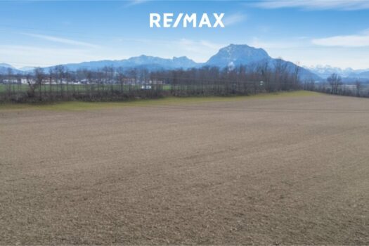 2FX3htMOIwd7vKiqfK0wSb