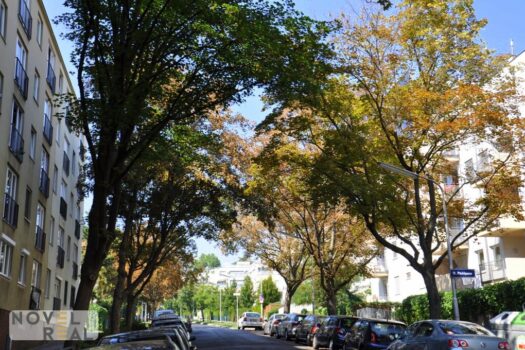 2QuaJQECXJFNSUDDfCXbn5