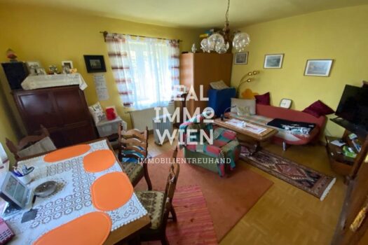 2jYwEhhTlmrkm8gVJBS1Sz