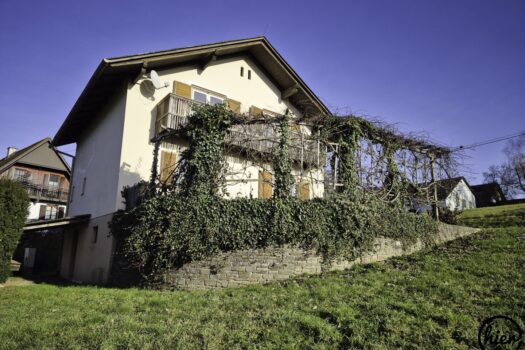 2otENEcyykx3trrKxyUpNq