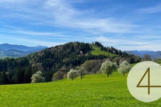 2wbxwVismfuv71TsPneghu