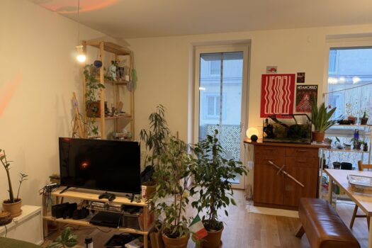 31QoX5c60fHzLMgXF6Gbqy