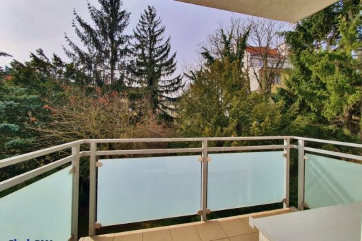 32Vpo8cLIzxcEgRGjWiq2G