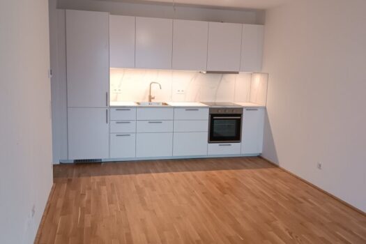 37Ck1DlOK231t1msut040f