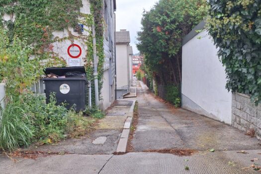 Franz-Asenbauer-Gasse