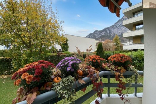 3D48B2vqzduY8dNbpdh0fh