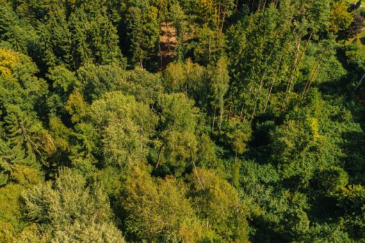 3FUW1EZzBEsm5Sp42UinnU