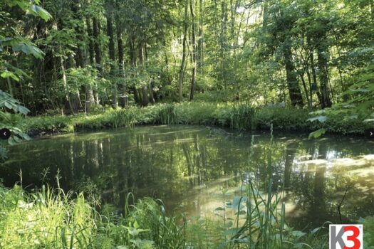 3MZAiYdSLKvjt46kaTalxj