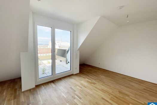 3SLyu6LPaN4k8GC00fNISP