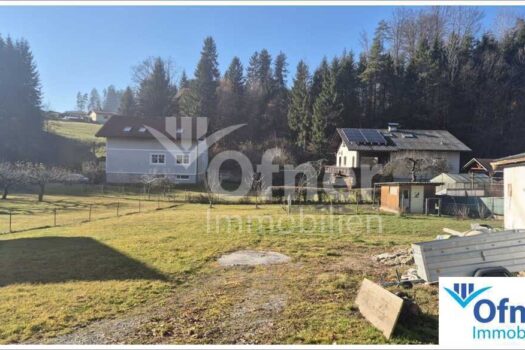 3WHyW01wscwTmgLdKcpiY6