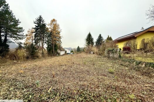 3lFIgSX2VldtTTRrytQ2rl