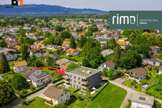 3mxEotBemlpN051hzb7gJc