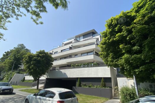 3pQhcrTxnMF5aG2qLlOmKt