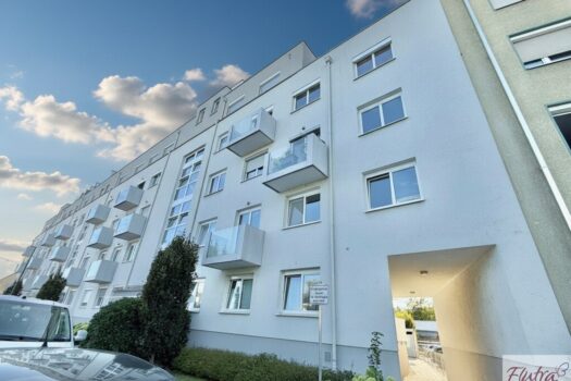 3tN01lYtAdxA8nYEdclB3h