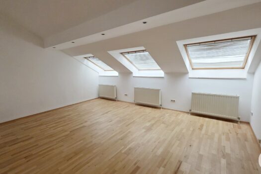 Jetzt schnell sein! Ruhige Wohnung in toller Lage! 2-Zimmer Wohnung – in wenigen Minuten am Karlsplatz! 3uHzP4GqBNMjdEf07QmfuI 1