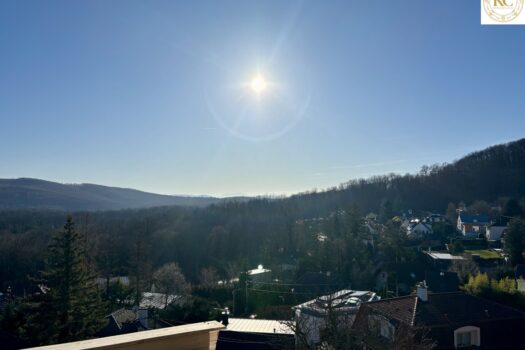 3yZO85zS7wIPk0L2SLIOrV