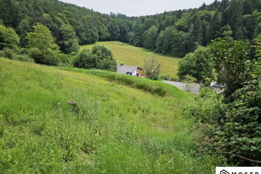 43vCbFbNDnIUndZwLlVfvD