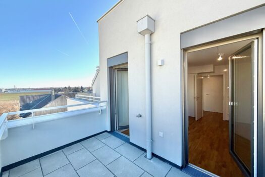 48HgVUgwFHIlsq68x713fW