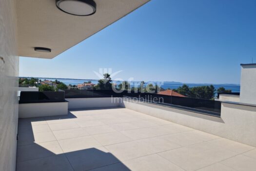 49dx7pQO6Ulp9rKcPJHXL5