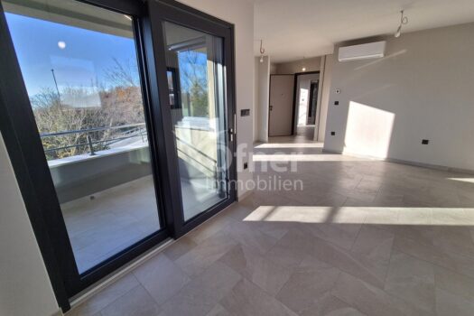 4E81uulj2OmJ141Ckkin0y