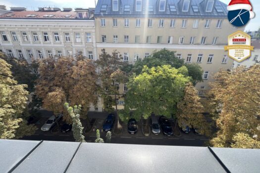 Ausblick auf die Kastanienbäume