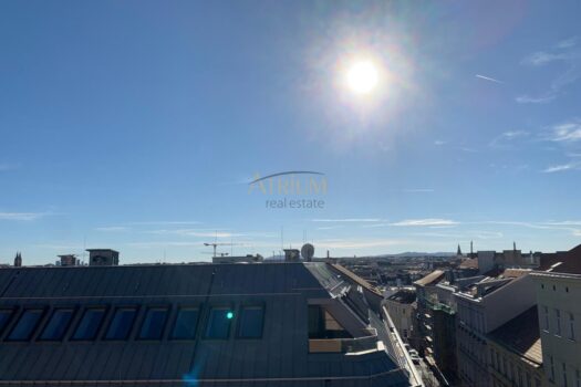 4VCX3uWoCGUxO8UVUQqFL7