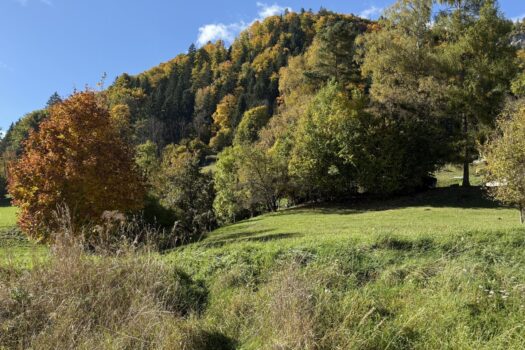 4YIj2auS6MbeX5Ute2nXXJ